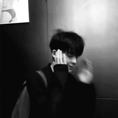 原创兽设世界观构建兽圈社群